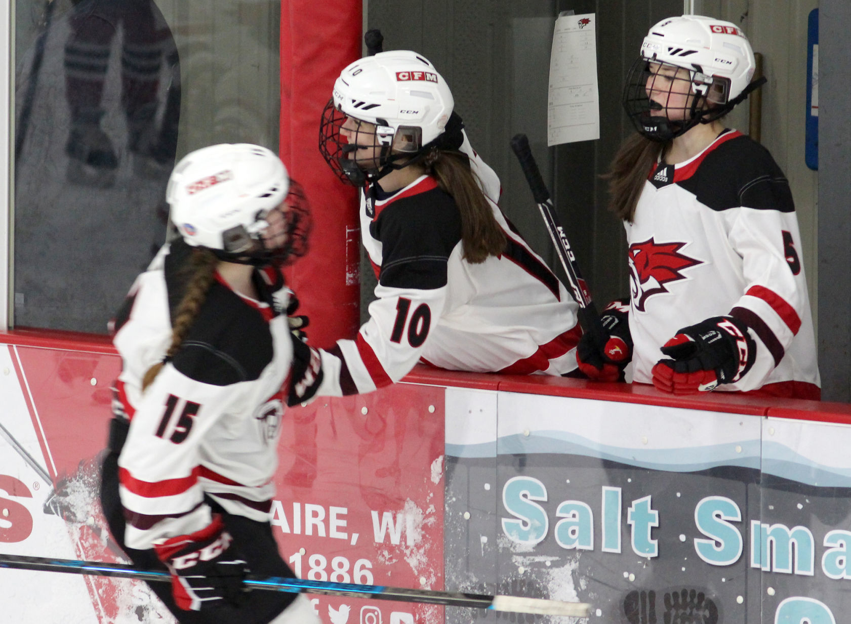 Medford at Chippewa Falls/Menomonie girls hockey 1-30-20
